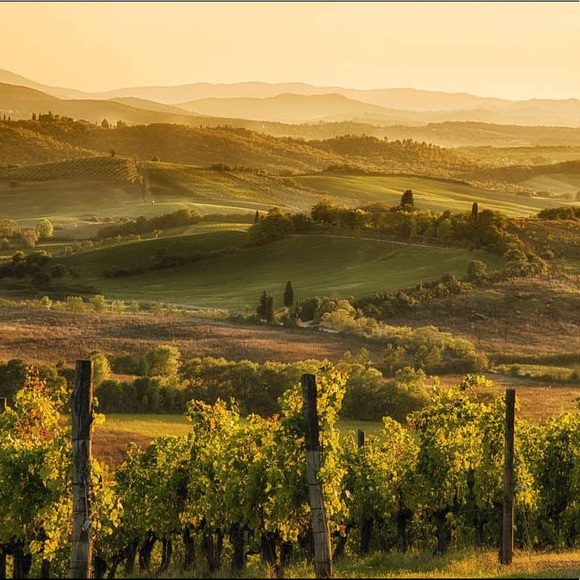 Meet your Posher - Picture 4 of 16